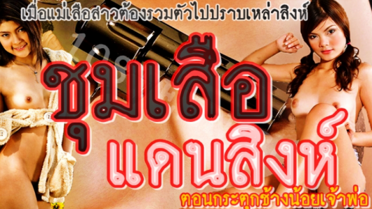 โยกควย เย็ดหีไทย เด้าหี หีแฉะ หนังโป๊ไทย
