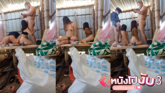 แอบเย็ดกัน แอบถ่ายในกระท่อม แอบถ่ายเสียงไทย แอบถ่ายxxx เสียวควย